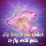 Fly Ticket