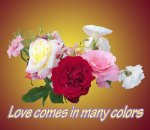love colors