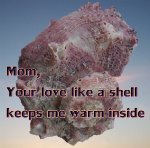 warm shell
