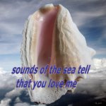 sea sounds