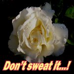 don't sweat it