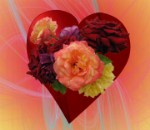 Red-Red Roses