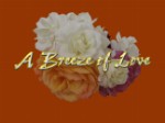 A Breeze of Love