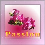 Passion